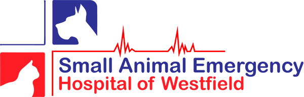 Small Animal Emergency Hospital of Westfield