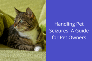 Tabby cat lying on a green cushion, looking to the side.