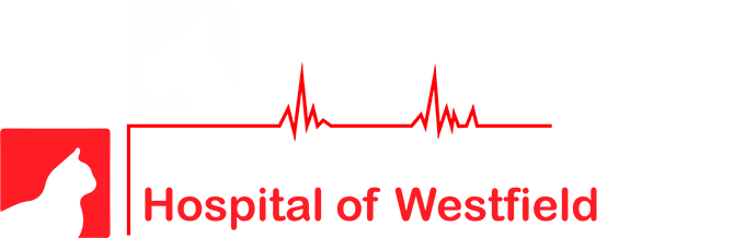 Logo of Small Animal Emergency Hospital of Westfield featuring a pet silhouette and a heartbeat line.