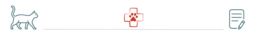 pet insurance veterinary exam dogs cats Small Animal Emergency Hospital of Westfield Westfield IN