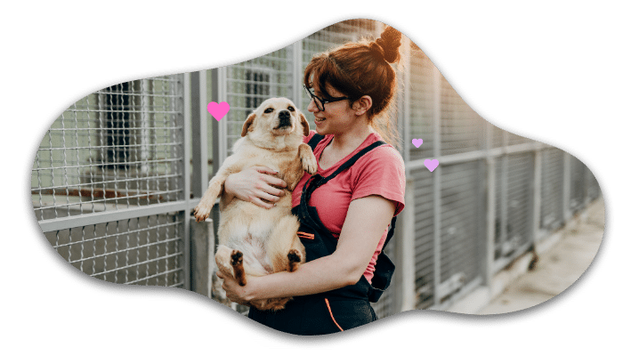 Shelter dog adoption supported by Small Animal Emergency Hospital of Westfield in Westfield, IN