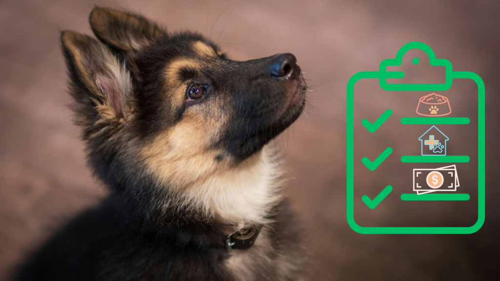 Puppy beside a new pet care checklist from Small Animal Emergency Hospital of Westfield