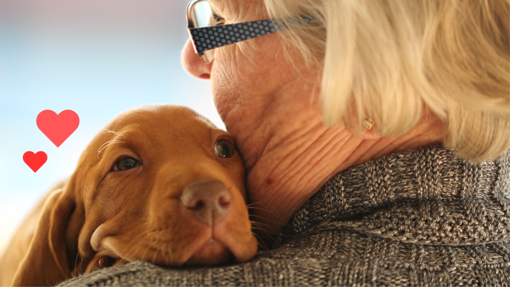 New puppy cuddling with its owner while beginning life with support from Small Animal Emergency Hospital of Westfield in Westfield, IN